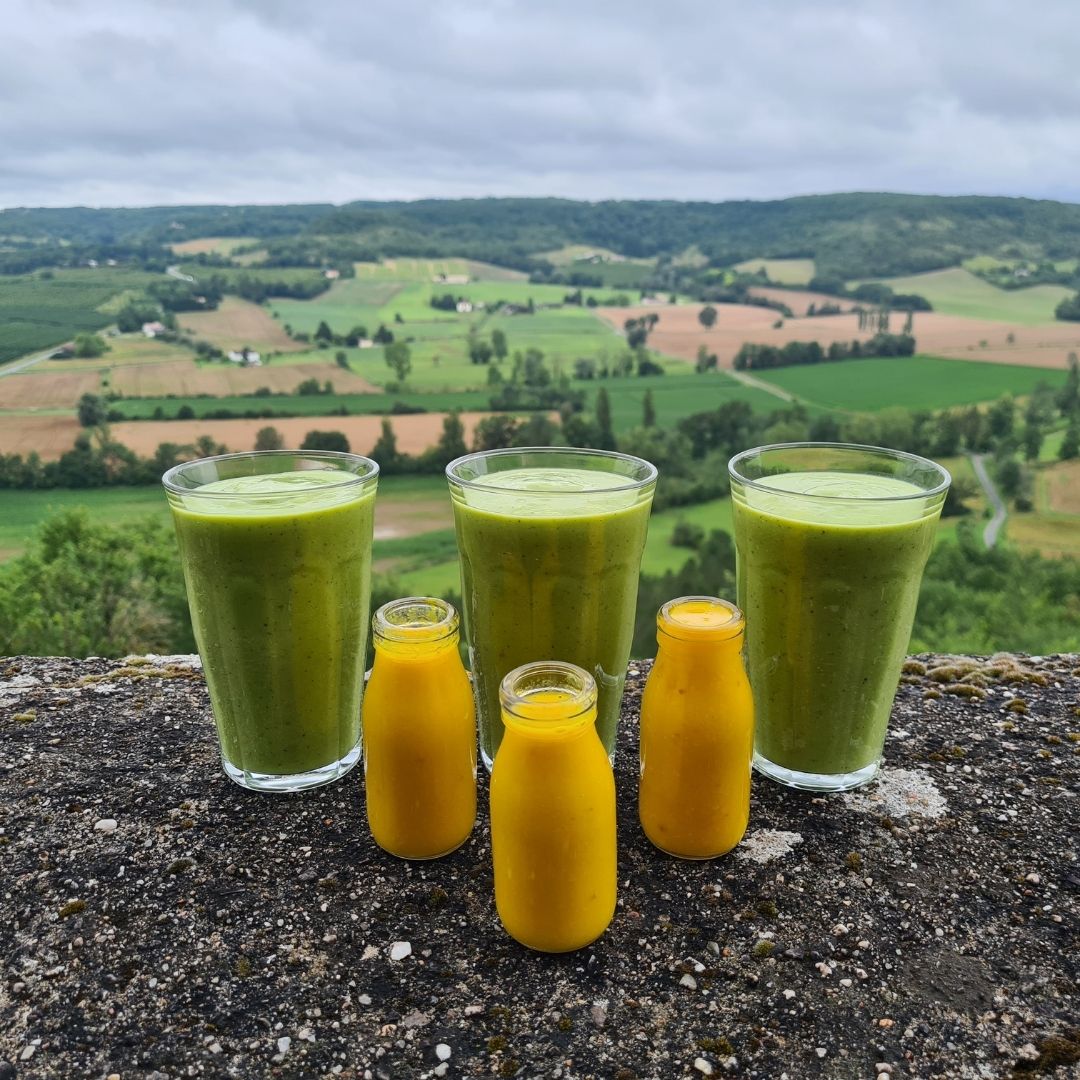Organic Juice Detox & Yoga Retreat in SW France