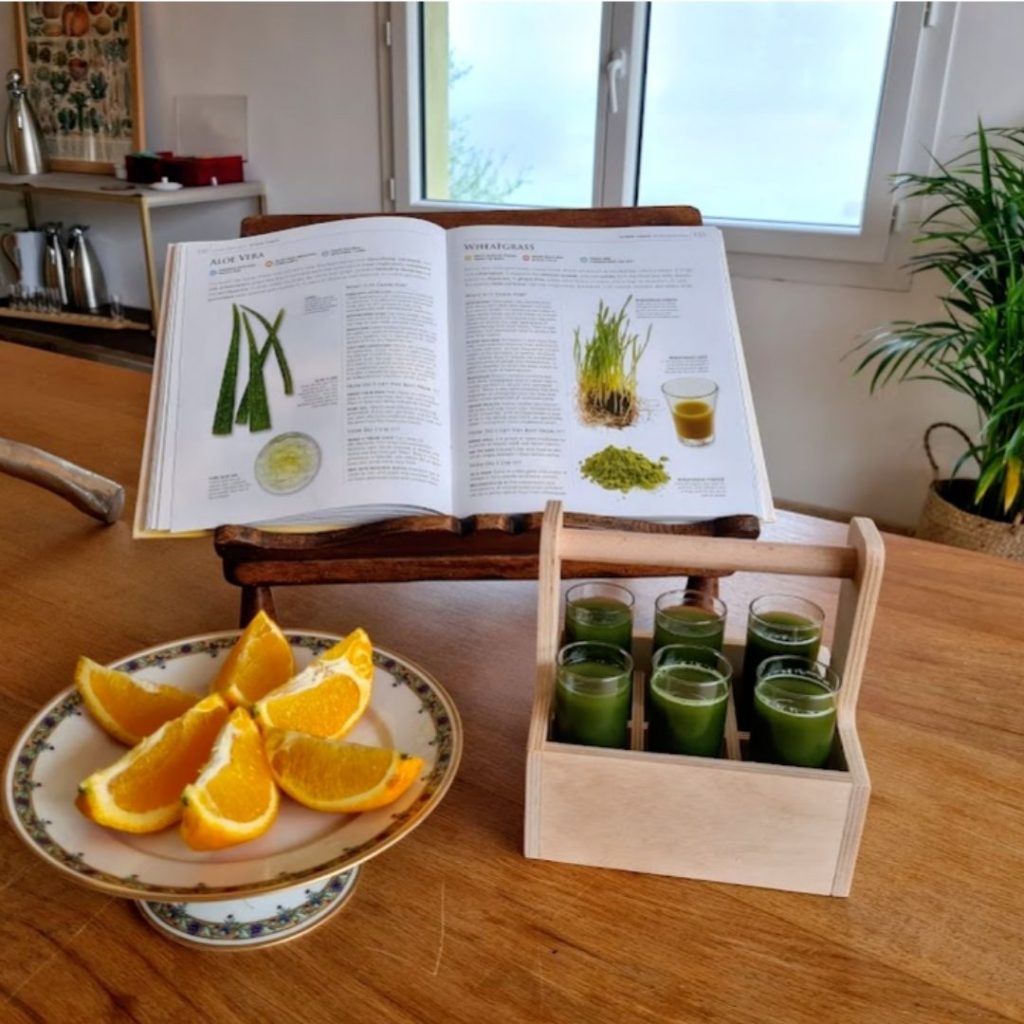 Organic Juice Detox & Yoga Retreats in SW France