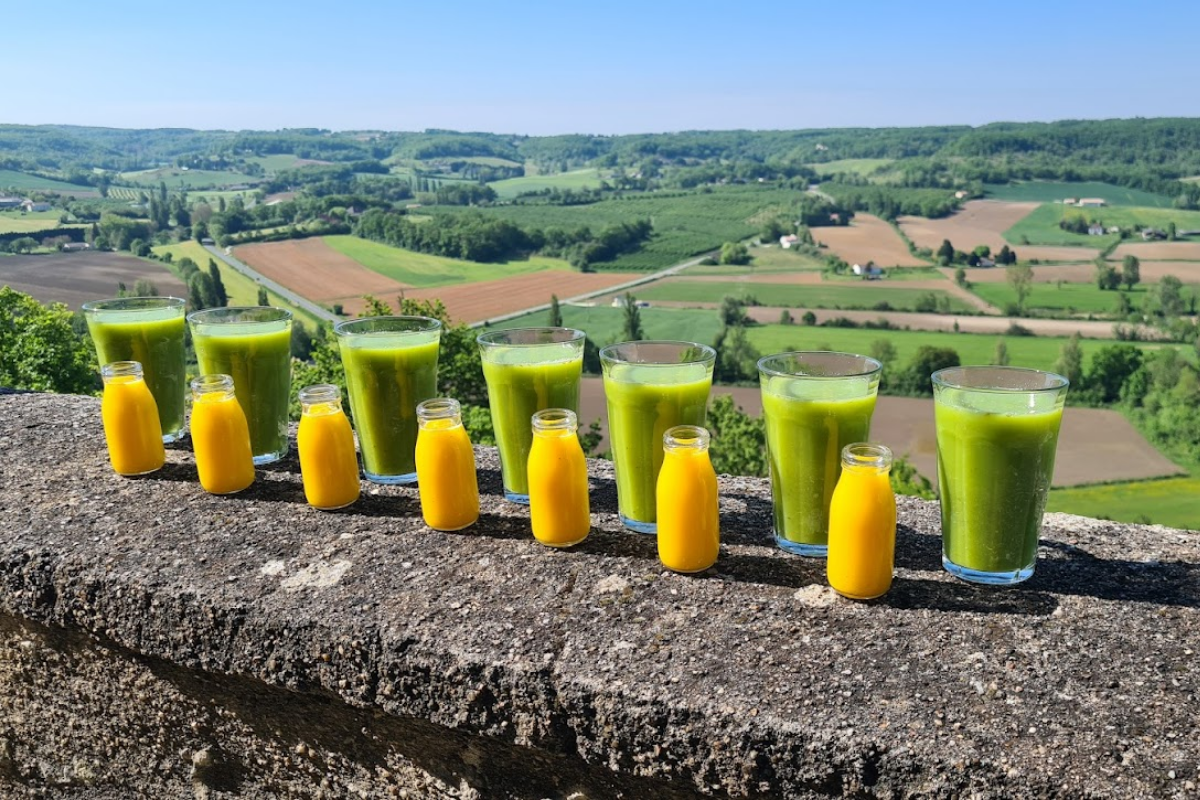 Organic Juice Detox Retreats in SW France