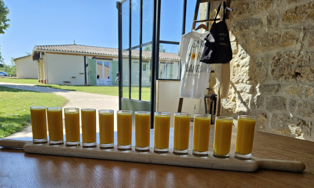 Organic Juice Detox Retreats in SW France. Choose your retreat dates
