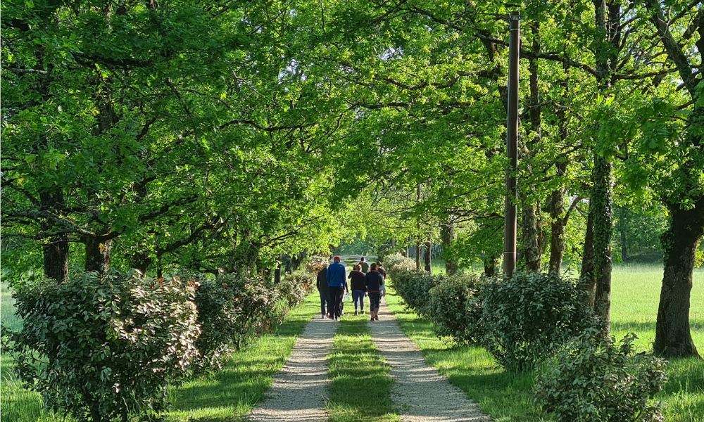 Organic Juice Detox Retreats in SW France